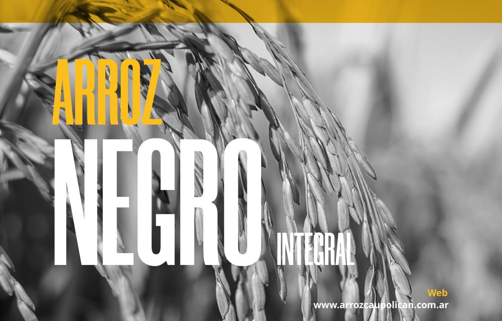 Arroz Negro Integral Caupolicán